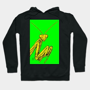 PRAYING MANTIS .3 Hoodie